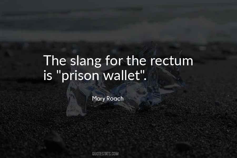 Mary Roach Quotes #171759