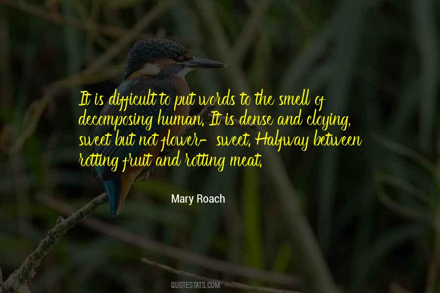 Mary Roach Quotes #450790