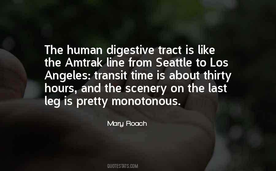 Mary Roach Quotes #653981