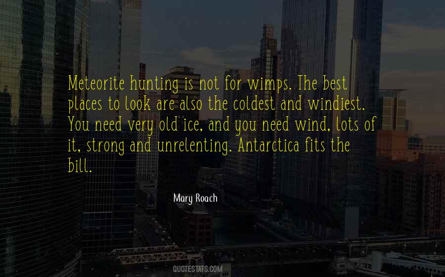 Mary Roach Quotes #815684