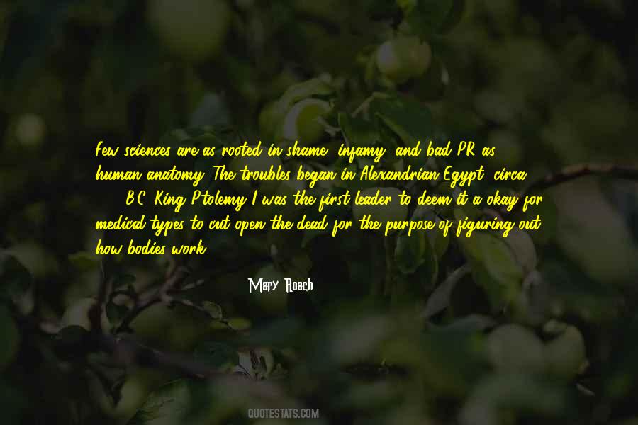 Mary Roach Quotes #953984