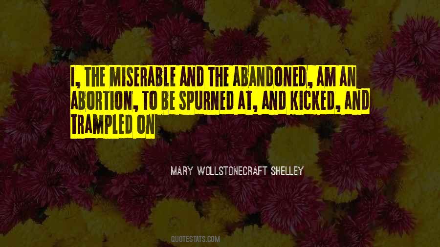 Mary Wollstonecraft Shelley Quotes #1311309