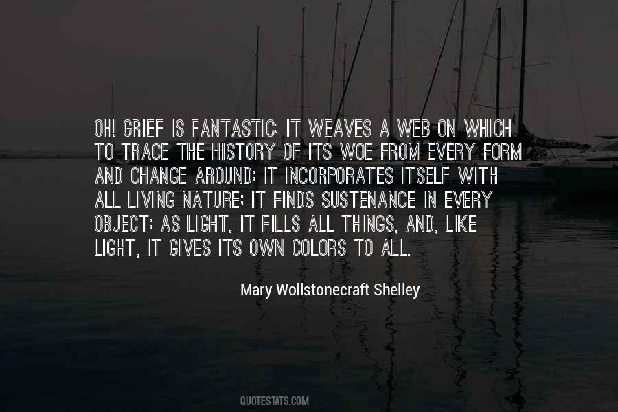 Mary Wollstonecraft Shelley Quotes #641854