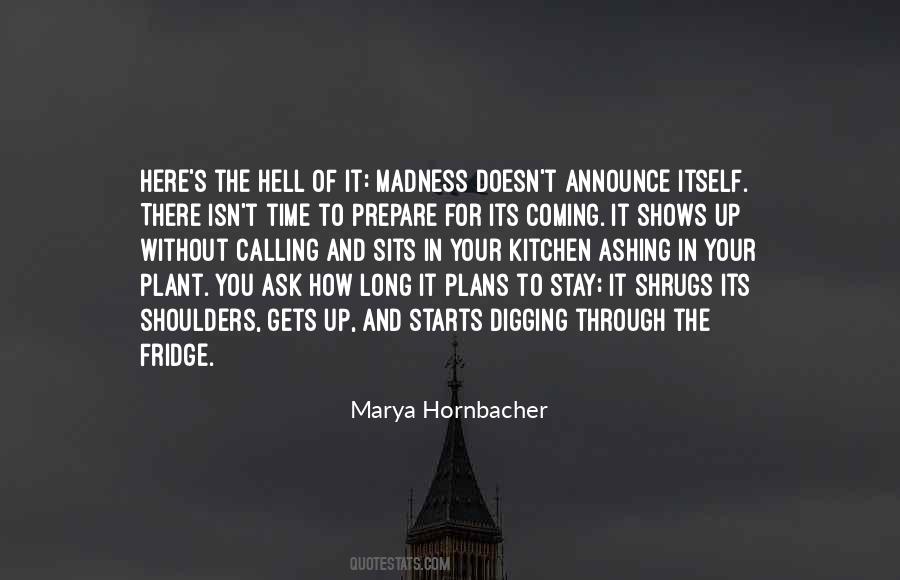 Marya Hornbacher Quotes #1725967