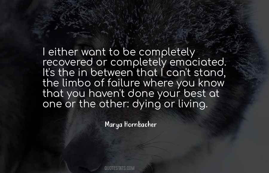 Marya Hornbacher Quotes #328033