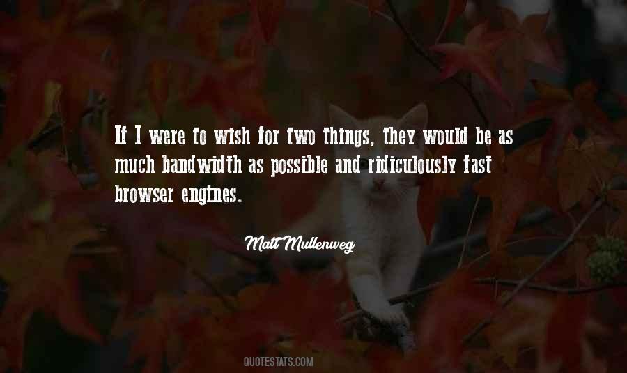 Matt Mullenweg Quotes #181928