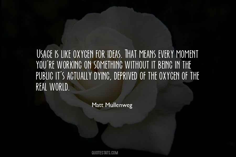 Matt Mullenweg Quotes #853806