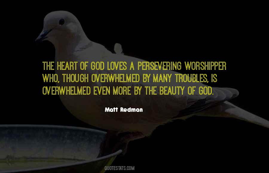 Matt Redman Quotes #795847