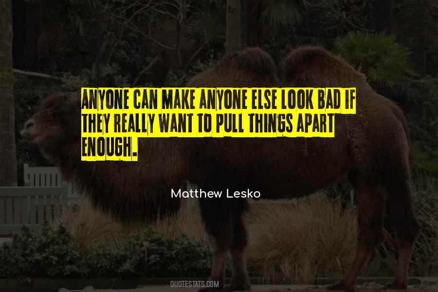 Matthew Lesko Quotes #470533