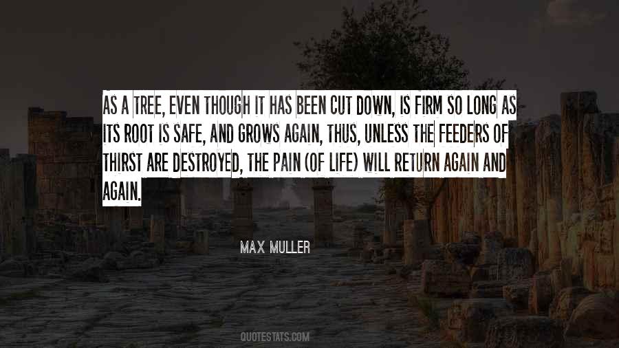 Max Muller Quotes #103539