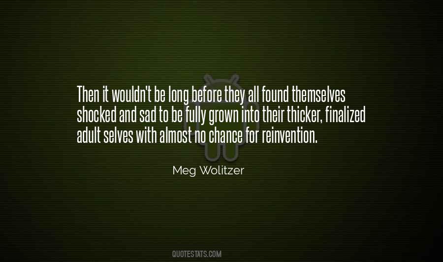 Meg Wolitzer Quotes #135437