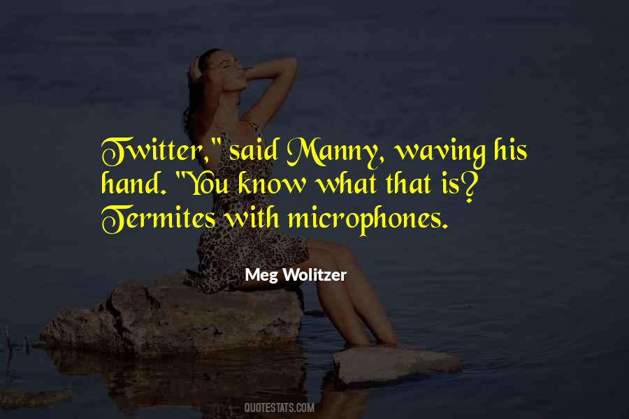 Meg Wolitzer Quotes #509918
