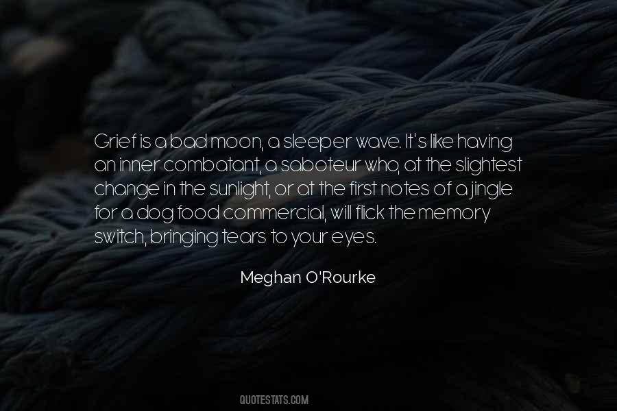 Meghan O'rourke Quotes #1042160