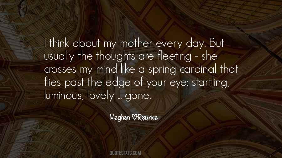 Meghan O'rourke Quotes #258342