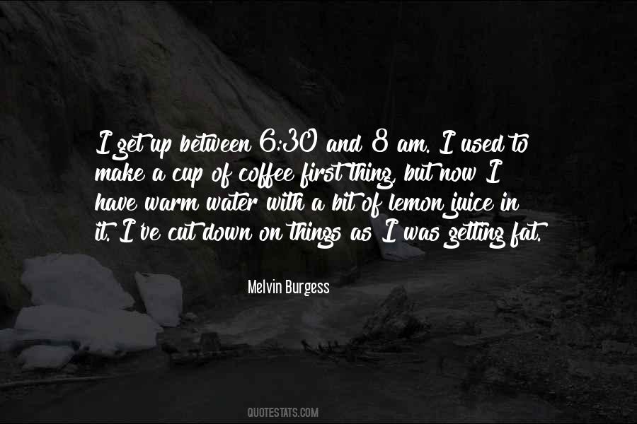 Melvin Burgess Quotes #1762036