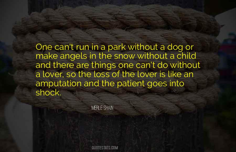 Merle Shain Quotes #466830