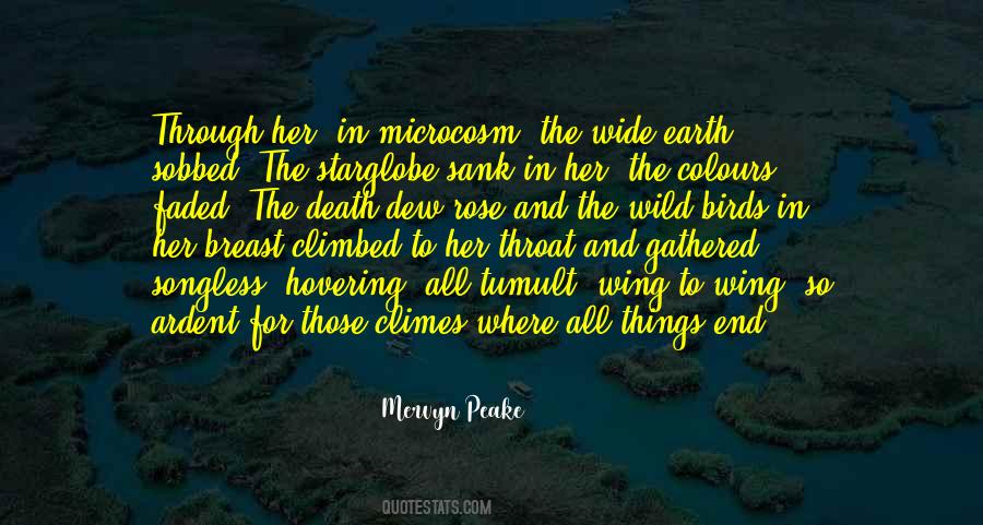 Mervyn Peake Quotes #150841