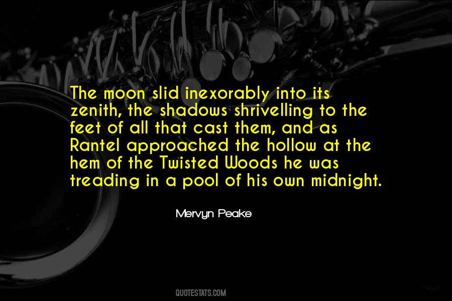 Mervyn Peake Quotes #498511