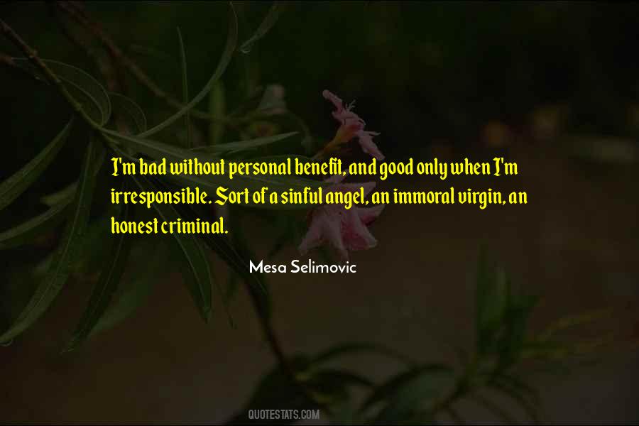 Mesa Selimovic Quotes #263093