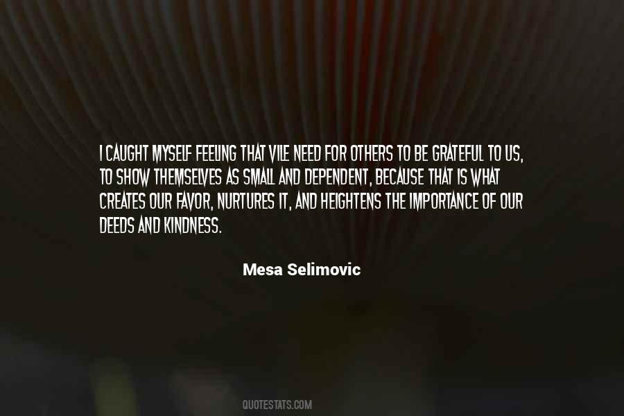 Mesa Selimovic Quotes #957900