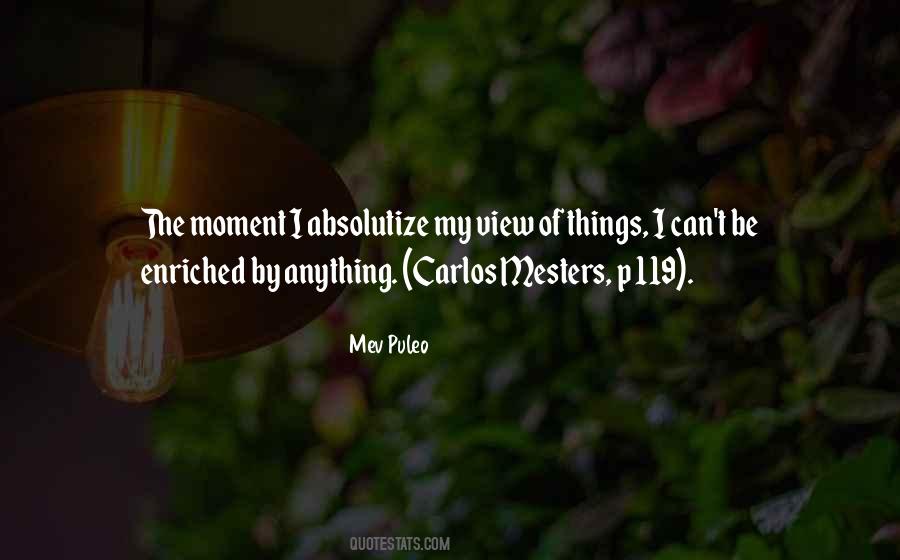 Mev Puleo Quotes #1463519