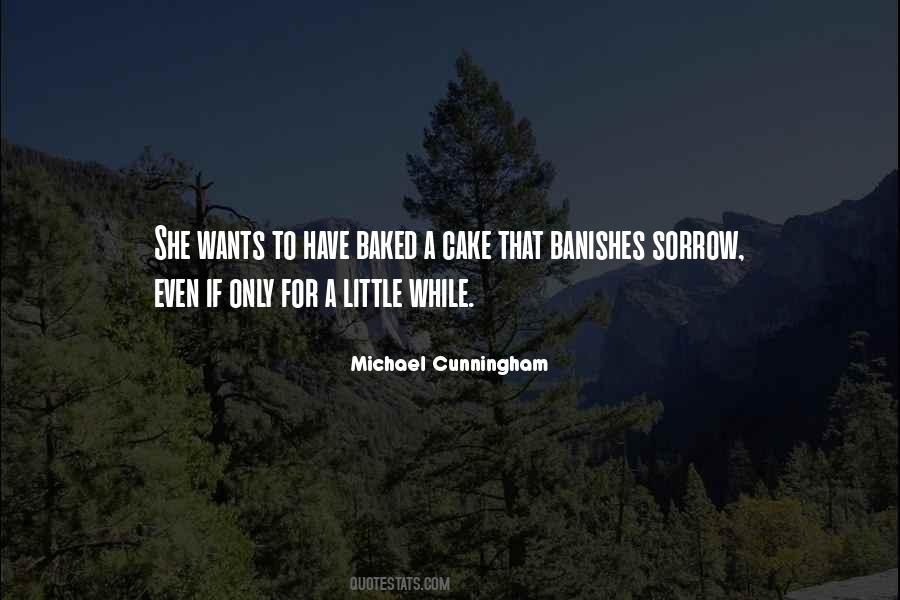 Michael Cunningham Quotes #58792