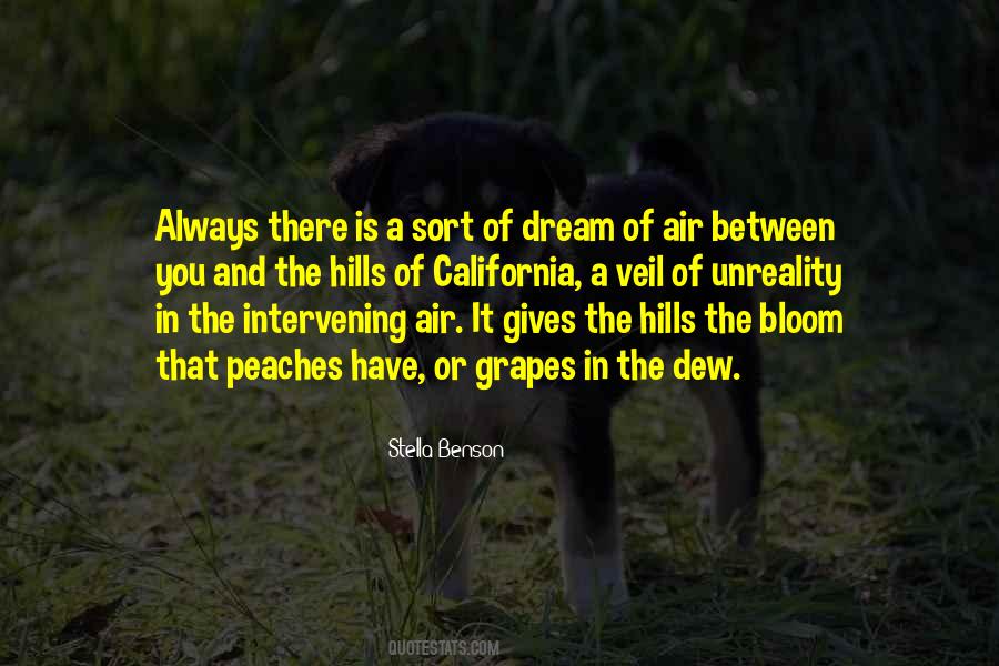 Quotes About The Veil #336558 Quotes About The Veil #336558