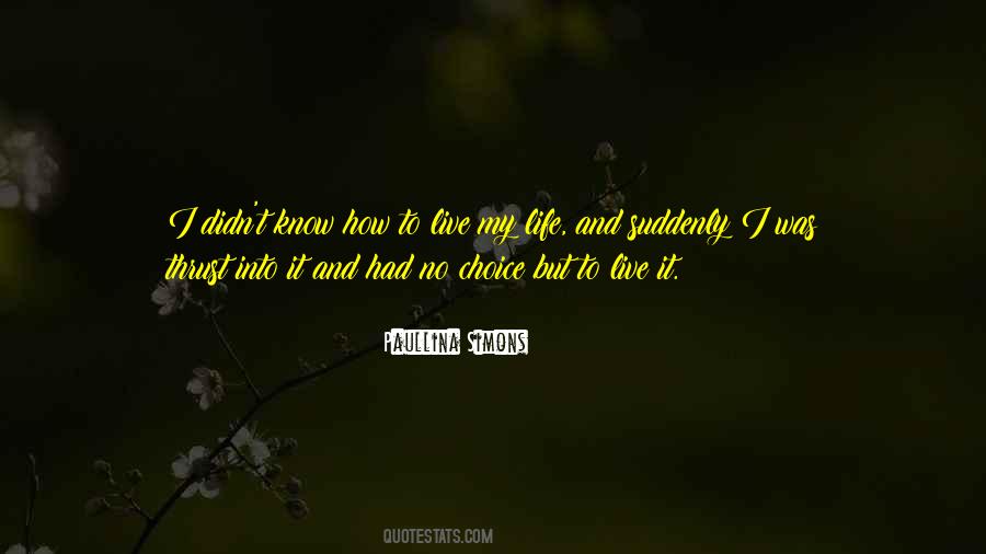 Michaela Angela Davis Quotes #865733
