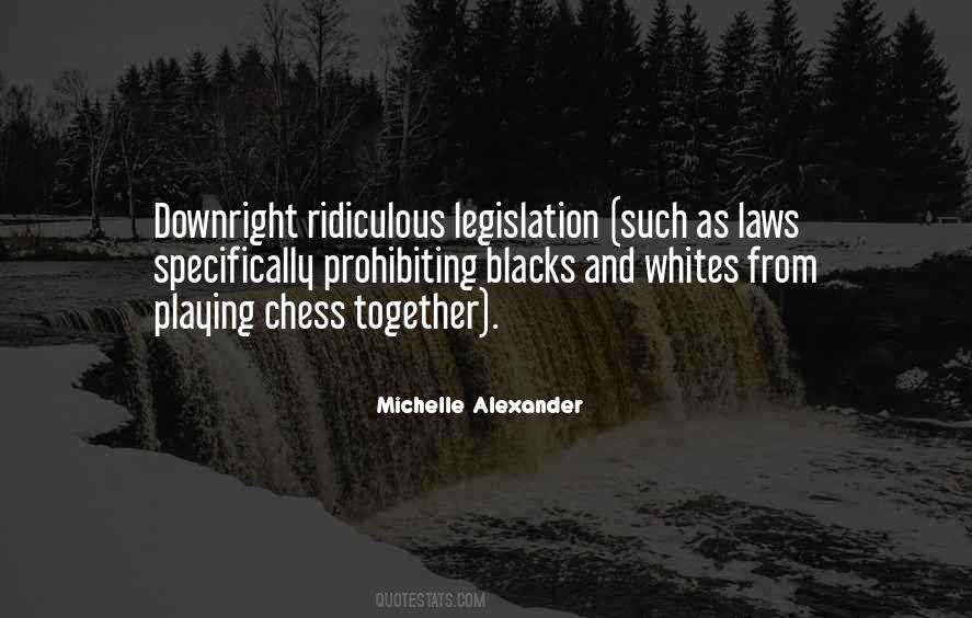 Michelle Alexander Quotes #1817411