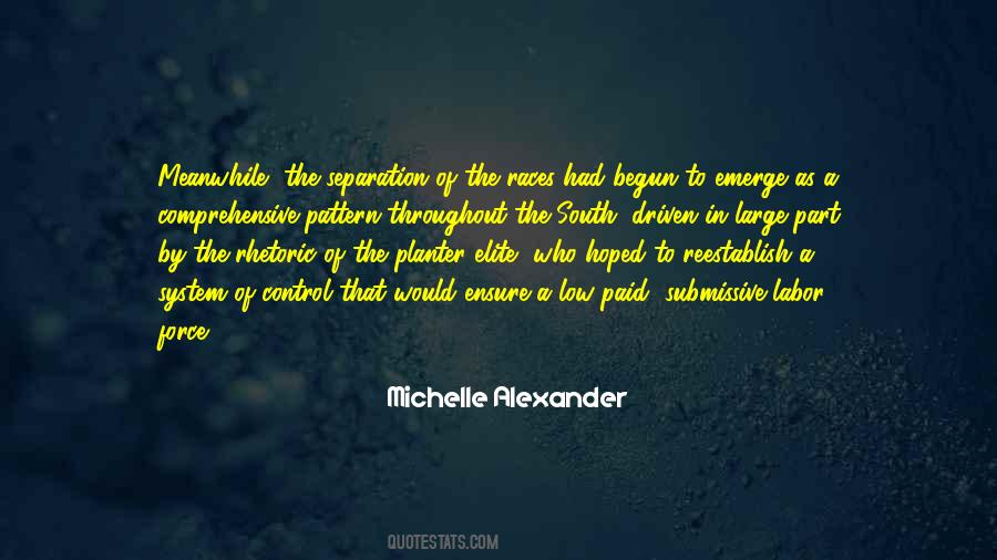 Michelle Alexander Quotes #355468