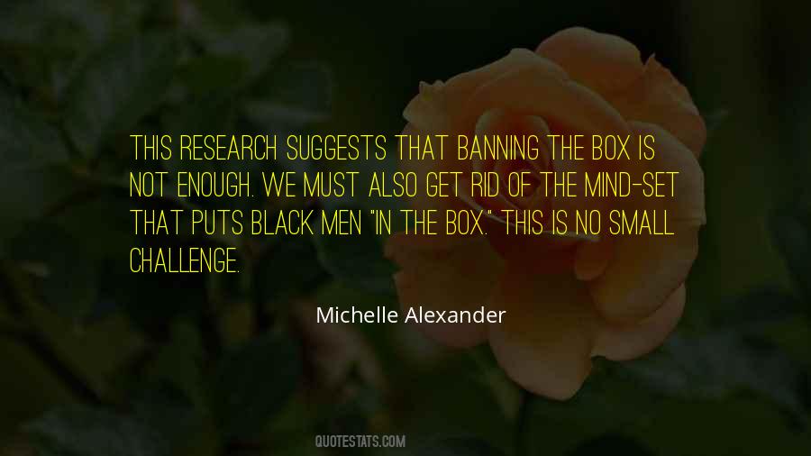 Michelle Alexander Quotes #377966