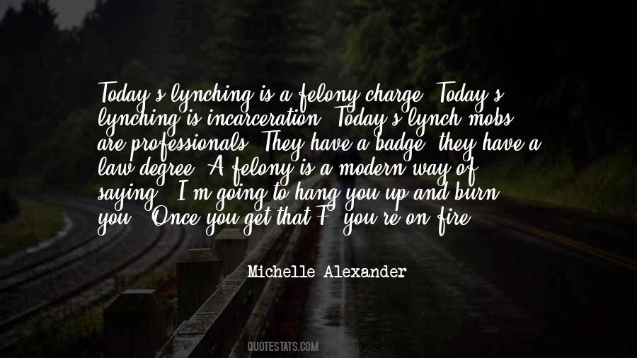 Michelle Alexander Quotes #428661