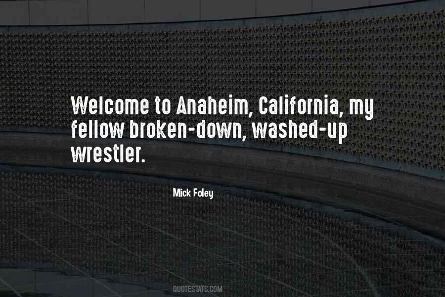 Mick Foley Quotes #403703