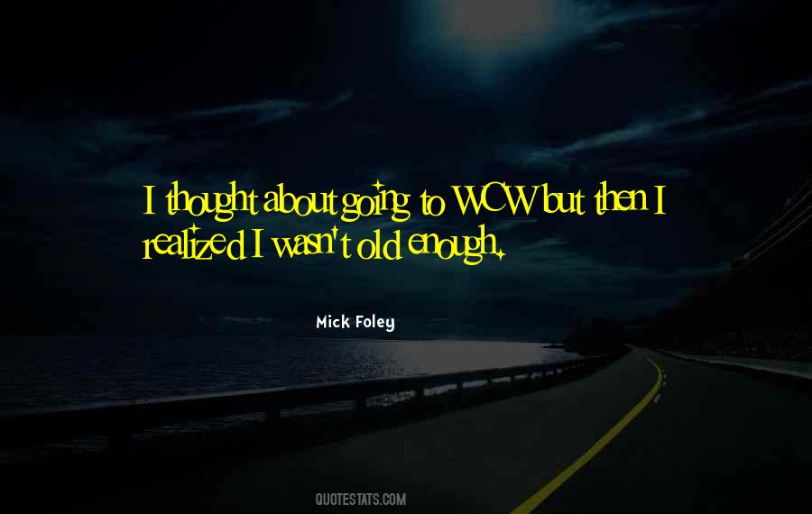 Mick Foley Quotes #749008