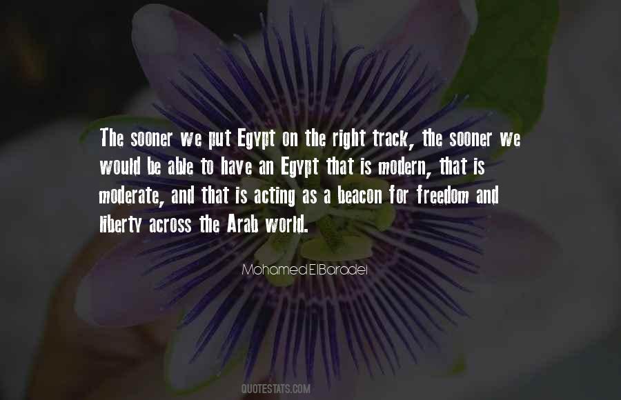 Mohamed Elbaradei Quotes #750675