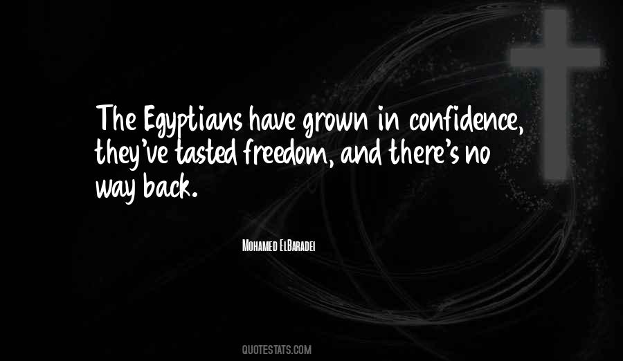 Mohamed Elbaradei Quotes #787505