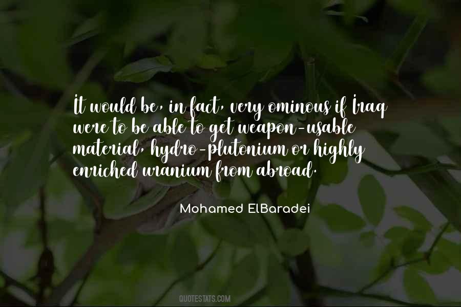 Mohamed Elbaradei Quotes #970703