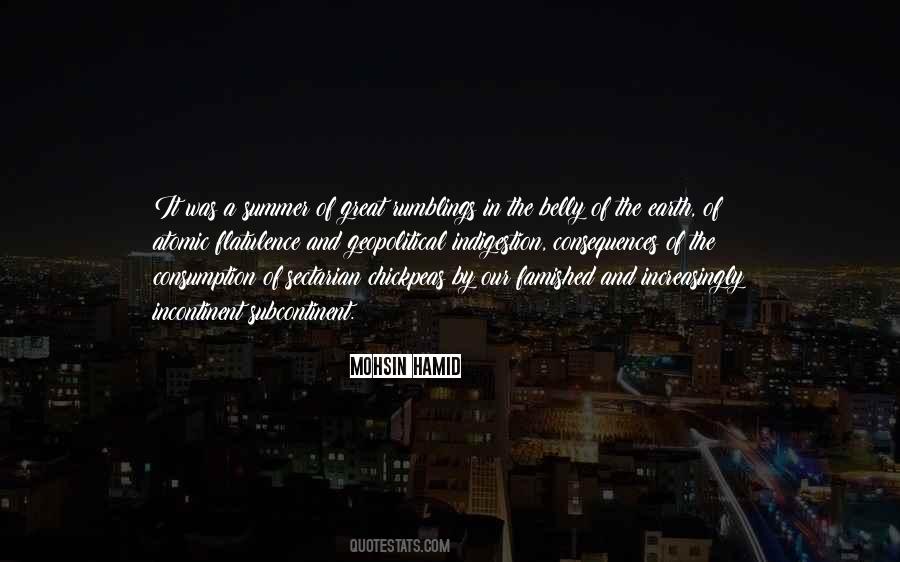 Mohsin Hamid Quotes #127699