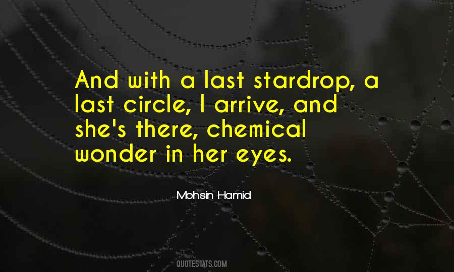 Mohsin Hamid Quotes #534238