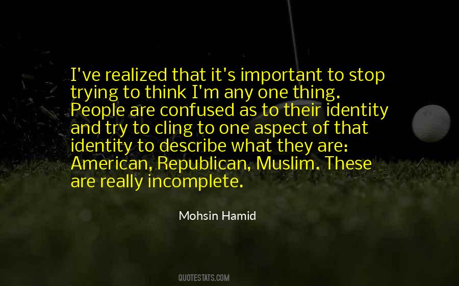 Mohsin Hamid Quotes #909814