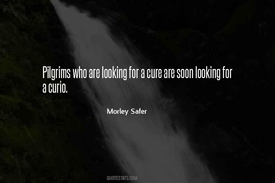 Morley Safer Quotes #1088782