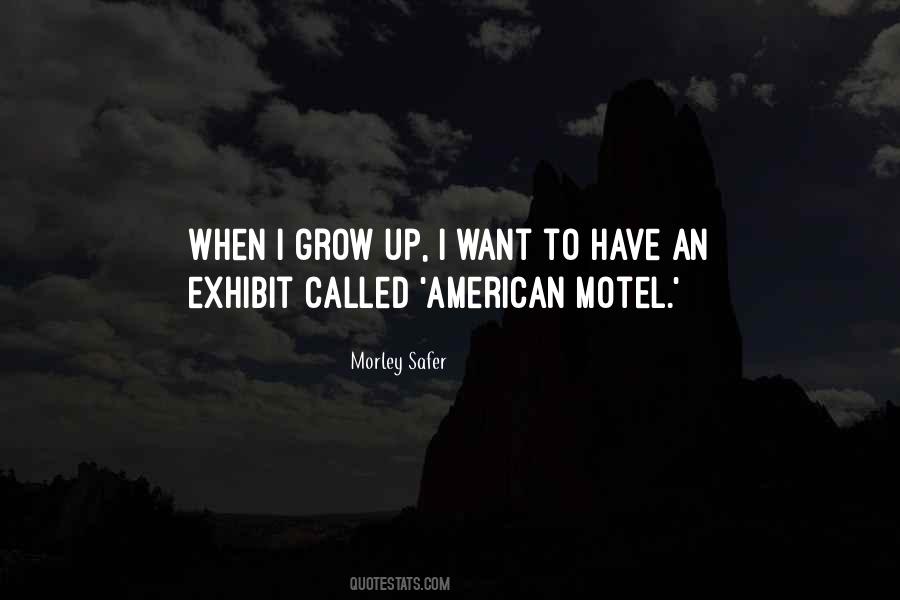 Morley Safer Quotes #546090