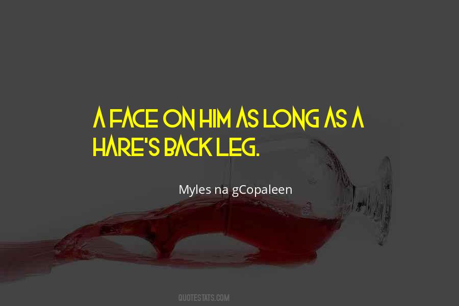 Myles Na Gcopaleen Quotes #1194464