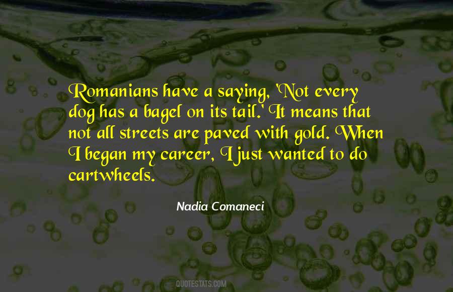 Nadia Comaneci Quotes #1198720