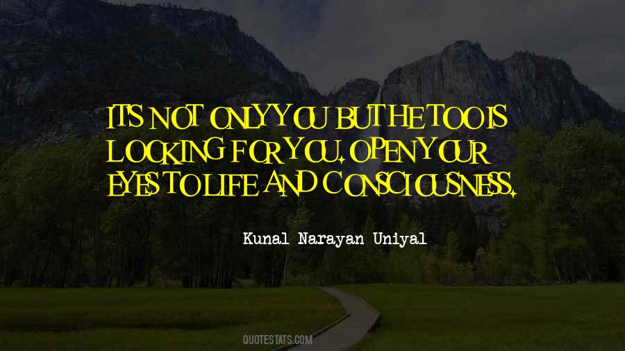 Narayan Quotes #1763330