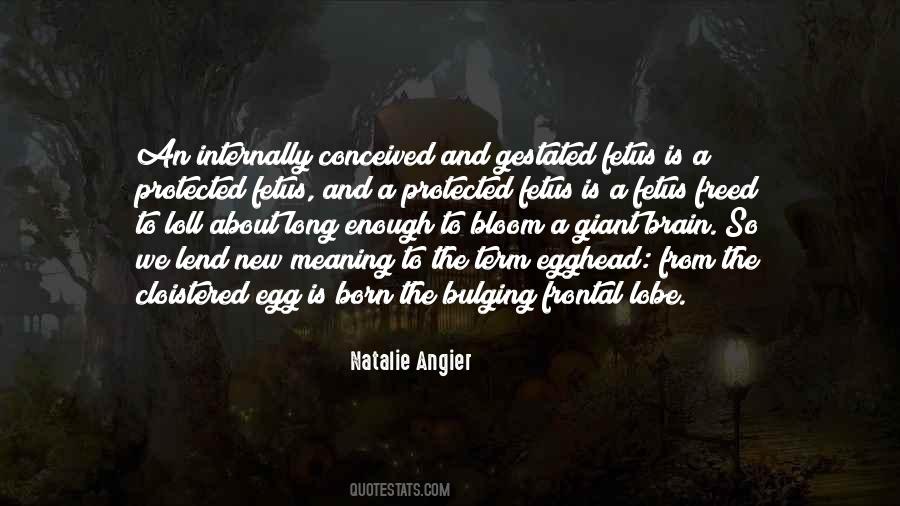Natalie Angier Quotes #1031839