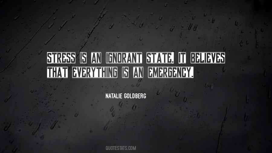 Natalie Goldberg Quotes #163525