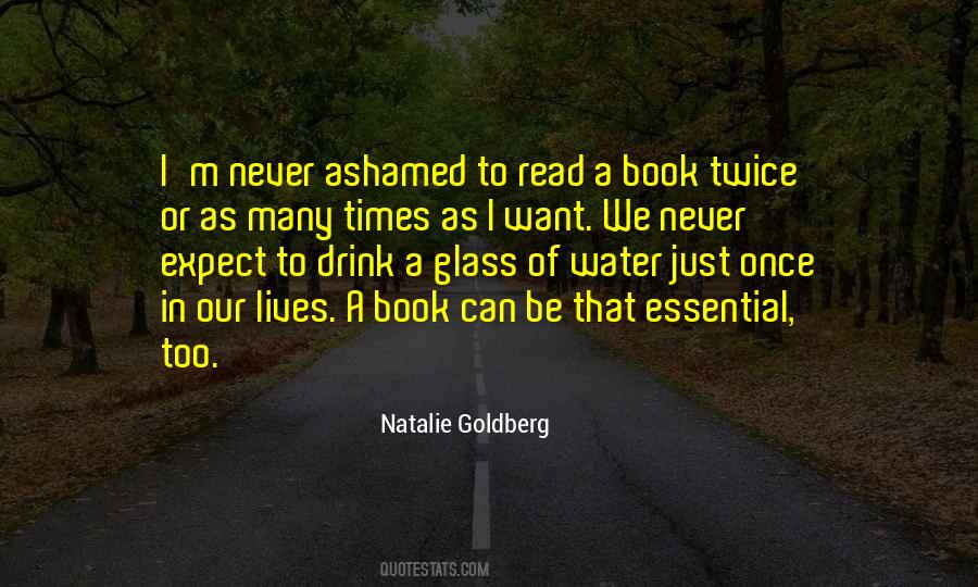 Natalie Goldberg Quotes #802668