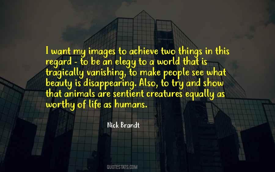 Nick Brandt Quotes #966220