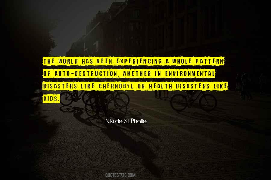 Niki De St Phalle Quotes #982454